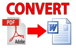 PDF to Word Converter
