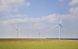 Corporate Giants and Sustainability