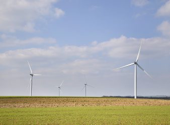 Corporate Giants and Sustainability